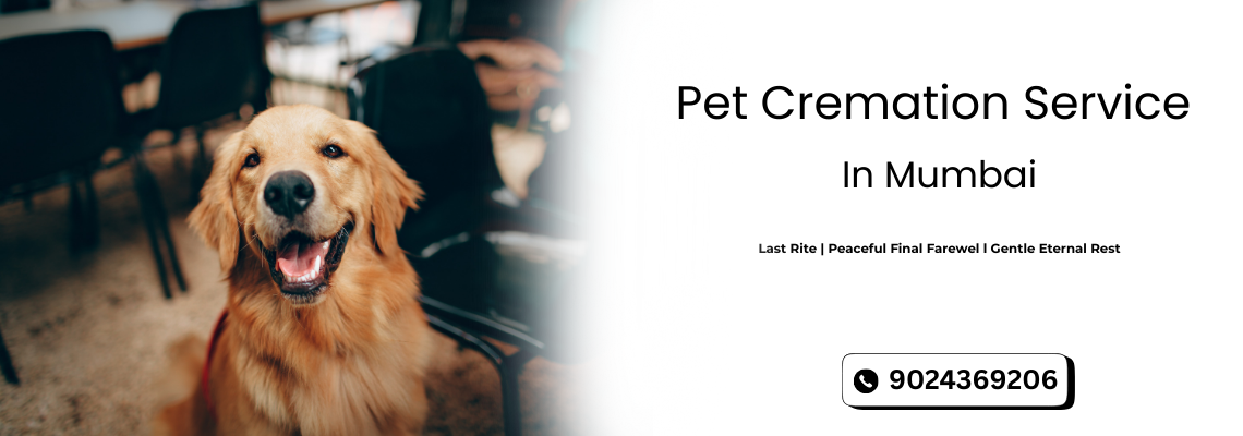 Pet Funeral Services in Mumbai